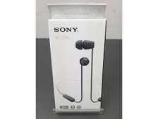 Sony WI-C100