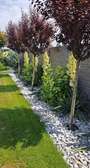 Landscaping and gardening design