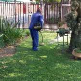 Garden Maintenance Services | Landscaping & Gardening Kenya