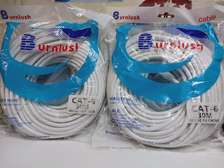 30M Cat6 Ethernet Cable