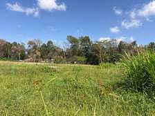 4.6 ac Land in Garden Estate