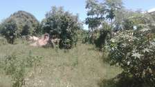 4 acres vacant land, Mapunga Witu, coast