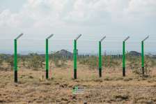 Ruiru Kamakis - Mwalimu Farm