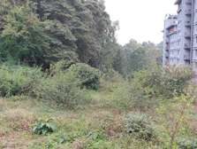 Commercial Land at Kirawa Road