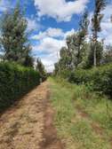 21 acres  Located at Cianda Near Ngorongo Tea Factory