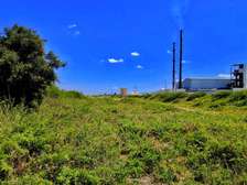 Affordable plots on sale