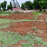 Kilifi Bofa  Third Row Prime Plots For Sale with Title Deed