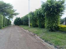 Residential Land at Runda