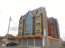 1 Bed Apartment with Parking at Thika-Mangu Rd