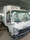 ISUZU ElF  freezer  3tones on sale