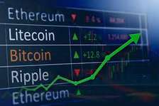 Cryptocurrency Trading course