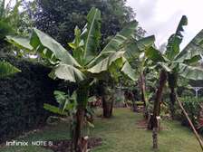 5 acres for sale in Lamu town