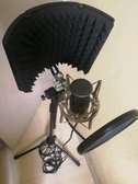 Studio Microphone complete set
