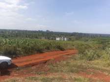 0.25 ac Land in Kiambu Road