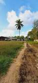 Commercial Land in Kikambala