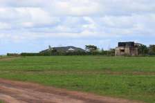 Sabaki Plots For sale