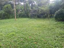 1 Acre Prime Land for Sale at Windyridge Karen