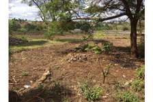 land for sale in Thika