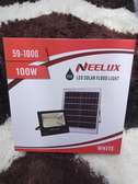 100W Ultra-Bright LED Floodlight Neelux, DC