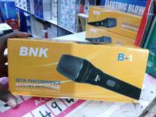 BNK Powerful wireless microphone