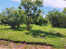 Land in Shanzu