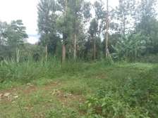 Residential Land in Karen