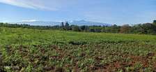 BEAUTIFUL 3 ACRES LAND FOR SALE IN TIMAU
