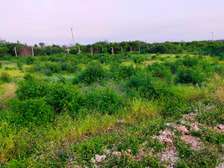 Land in Vipingo