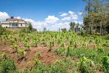 Prime Residential plot for sale in kikuyu, kamango
