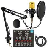 studio condenser microphone mic with V8 sound card