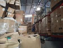Professsional Moving and Warehousing Services Kenya