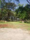 Lovely Half Acre Land in Karen
