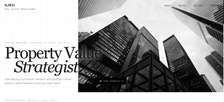 Software development services