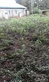 100 by 50 Plot for Sale in Busia Town