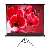 84*84 tripod projection screen for hire