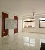 3 Bed Apartment in Thindigua
