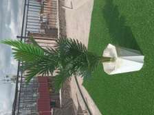 Artificial home plants