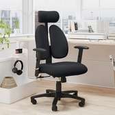 Office Chair: Dual Back Orthopedic Chair