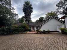 0.51 ac Residential Land in Spring Valley