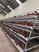 Battery cages