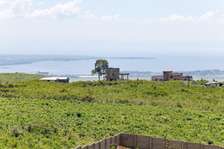 404 ac Residential Land at Riat Hills