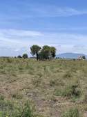 0.125 ac land for sale in Koma Rock