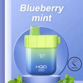 HQD Star  5000 Puffs Disposable Vape - Blueberry Mint