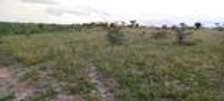 50X100 plots for sale - Kitengela
