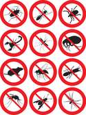 Cheap bed bug fumigation services in Roysambu,Garden Estate