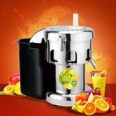 Commercial Fruit Juicer Electric Juice Extractor