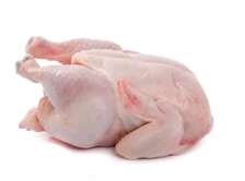 Broiler chickens for sale