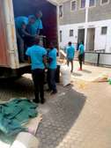 Jacana Movers