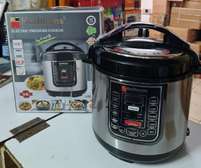6.5 Hoffman electric multifunctional pressure cooker