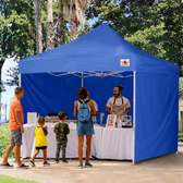 Foldable canopy tent/gazebo tent
